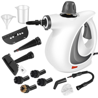 Steam Cleaner