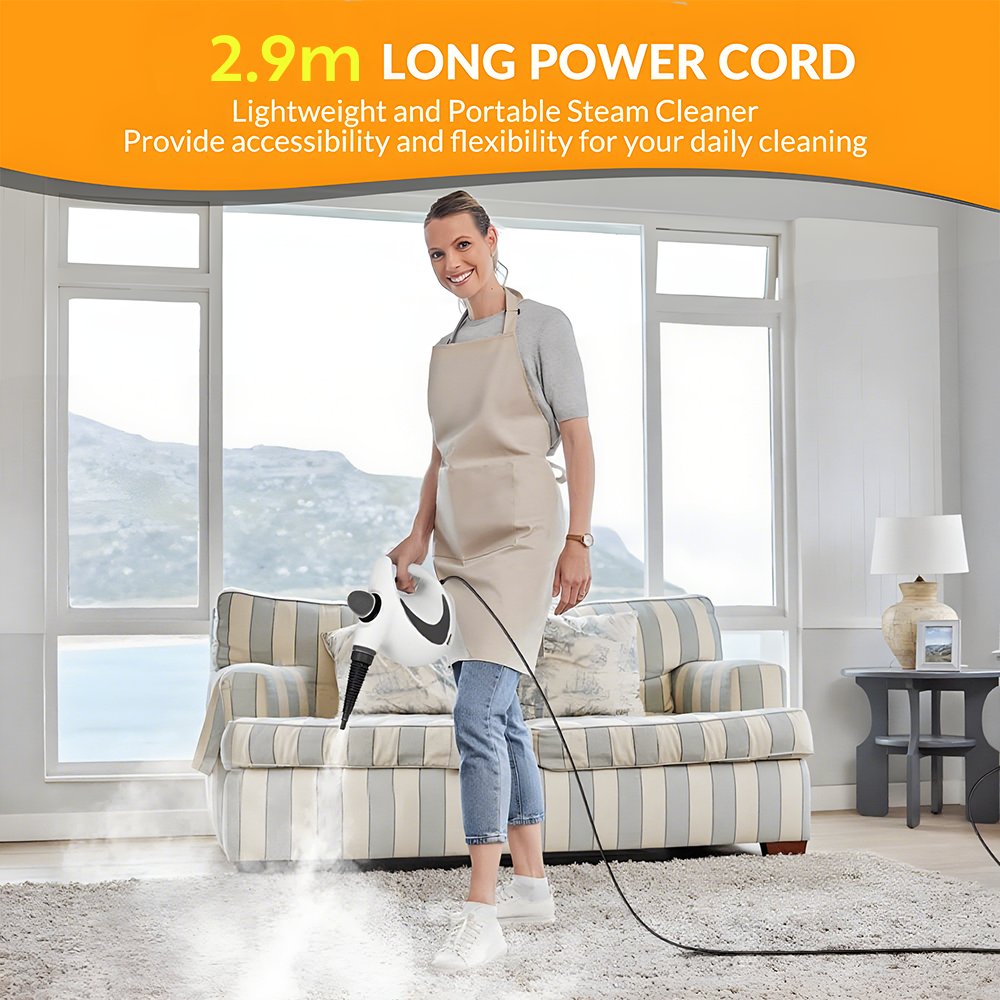 Steam Cleaner