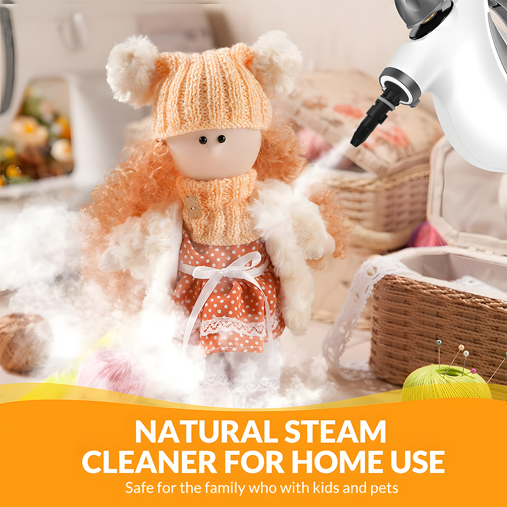 Steam Cleaner