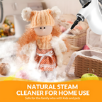 Steam Cleaner